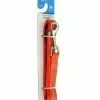 Master PawsÂ® 5' Orange Reflective Adjustable Nylon Dog Leash - Medium -Master Paws Sales Store 2533284