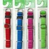 Master PawsÂ® Adjustable Small Nylon Dog Collar - Assorted Colors -Master Paws Sales Store 2533316 SM Col Slip