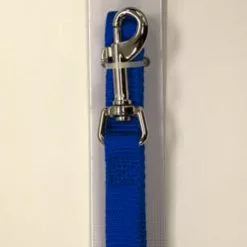 Master PawsÂ® 5' Blue Nylon Dog Leash - Medium