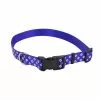 Master PawsÂ® Blue Reflective Adjustable Dog Collar - Small -Master Paws Sales Store 2533811