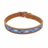 Master PawsÂ® Tan & Blue Leather Window Dog Collar - 18" X 1" -Master Paws Sales Store 2533830 P SF