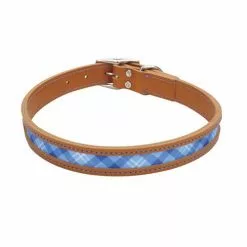Master PawsÂ® Tan & Blue Leather Window Dog Collar - 18" X 1"