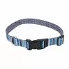 Master PawsÂ® Blue Paw & Bone Adjustable Nylon Dog Collar - Medium -Master Paws Sales Store 2533831