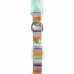 Master PawsÂ® Adjustable Striped Waterproof Dog Collar - Medium