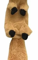 Master PawsÂ® Stuffed Head & Stuffing Free Body Dog Toy - Assorted -Master Paws Sales Store 2538195 master4