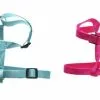 Master PawsÂ® Medium Adjusable Nylon Dog Harness - Assorted Colors -Master Paws Sales Store 48224EA2533406