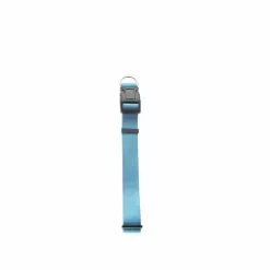 Master PawsÂ® Adjustable Sky Blue Nylon Dog Collar - Small