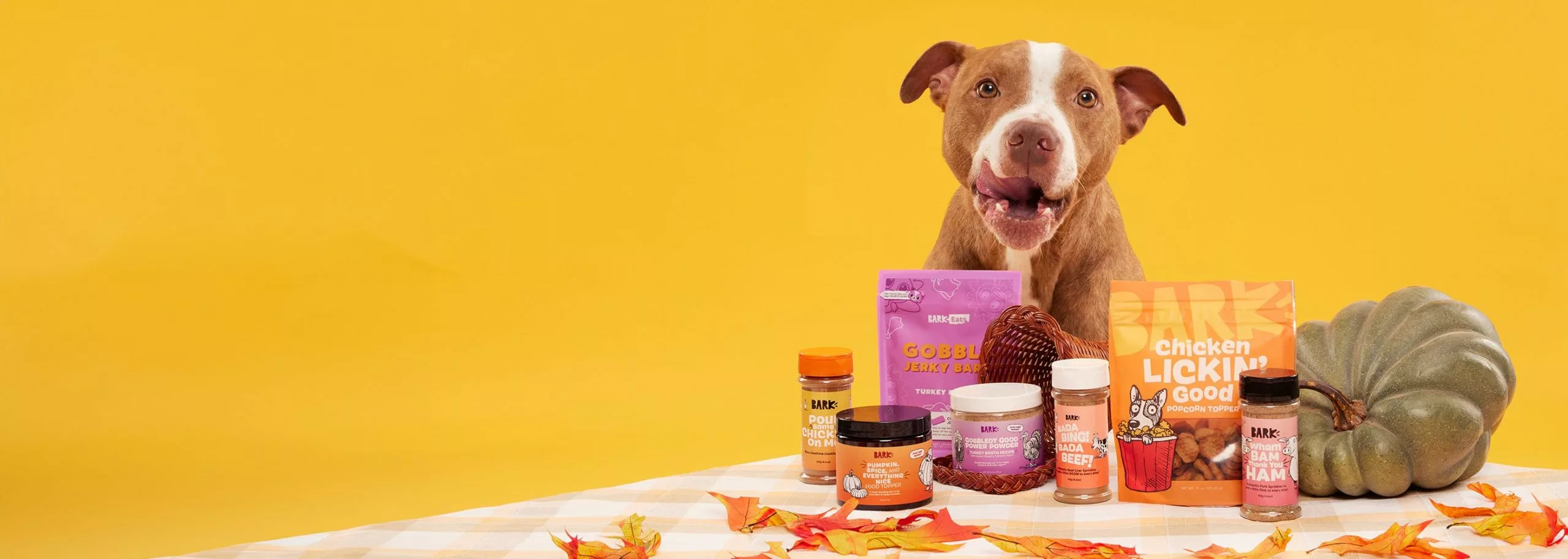 Master Paws Sales Store -Master Paws Sales Store 125 scaled